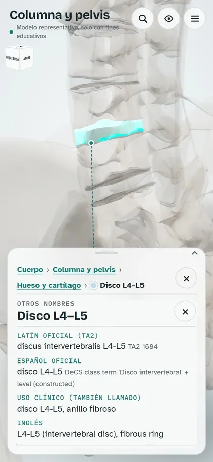 La app en un teléfono: la tarjeta del disco L4-L5 con sus nombres en latín, español, uso clínico e inglés.